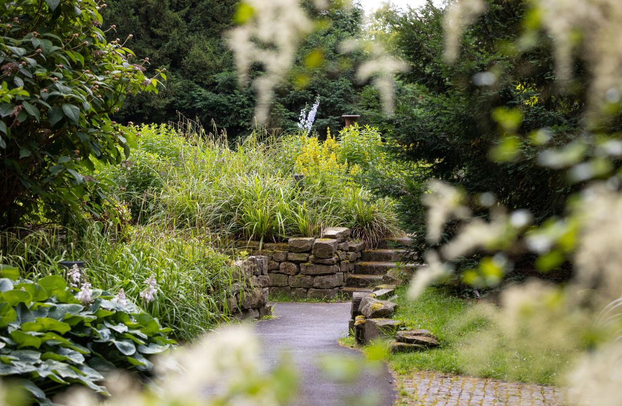 Zugewachsener Garten mit Wegen, Mauern und Treppen